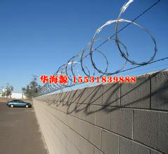 單螺旋刀片刺網(wǎng)